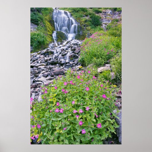 Nationaal park van het meer van het meer van de VS Poster (Voorkant)