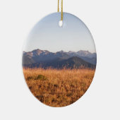 Nationaal park van orkaan Ridge Gift Keramisch Ornament (Rechts)