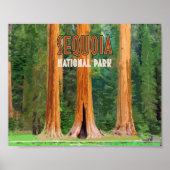 Nationaal park van Sequoia California  Poster (Voorkant)