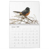 Nationaal park van Shenandoah Big Meadows Kalender (Jan 2027)