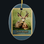 Nationaal park van Shenandoah Deer Vintage Keramisch Ornament<br><div class="desc">Vintage-reisstijl Shenandoah National Park afbeelding met een prachtig reuzenhert met een volle gewei op het groene gras.</div>