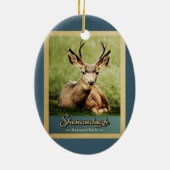 Nationaal park van Shenandoah Deer Vintage Keramisch Ornament (Achterkant)