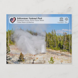 Nationaal park van Yellowstone - Steamboot Geyser Briefkaart