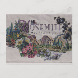 Nationaal park van Yosemite Wildlife Briefkaart