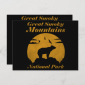 Nationaal park Verenigde Staten Beer Briefkaart (Voorkant / Achterkant)