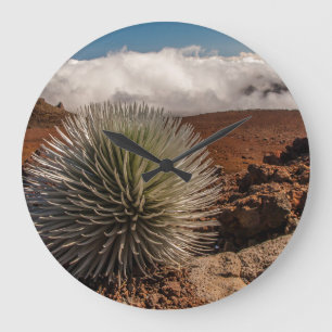 Nationaal Park Verenigde Staten, Hawaii, Maui, Hal Grote Klok
