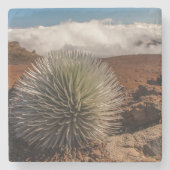 Nationaal Park Verenigde Staten, Hawaii, Maui, Hal Stenen Onderzetter (Voorkant)