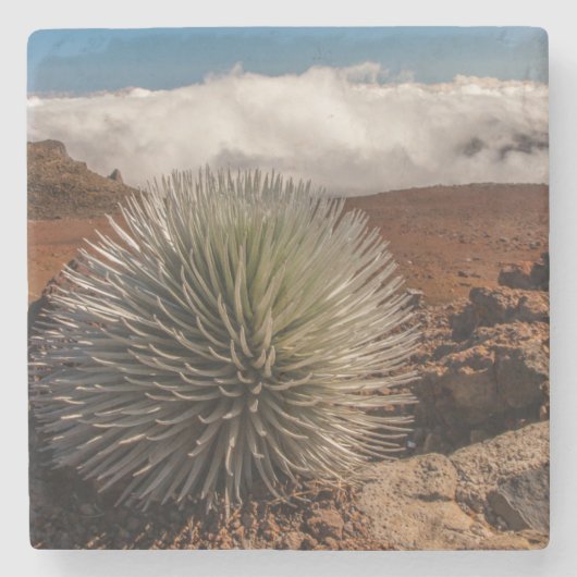 Nationaal Park Verenigde Staten, Hawaii, Maui, Hal Stenen Onderzetter (Voorkant)