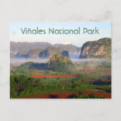 Nationaal park Viñales, Pinar del Rio, Cuba Briefkaart (Voorkant)