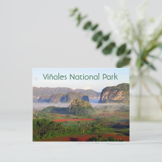 Nationaal park Viñales, Pinar del Rio, Cuba Briefkaart (Staand voorkant)