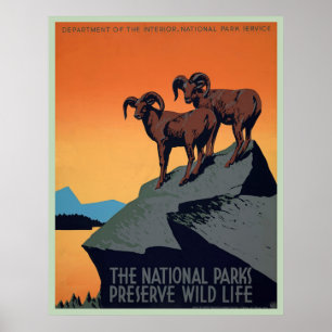 Nationaal Park Vintage Poster