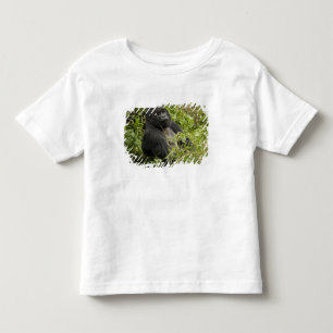Nationaal park Volcanoes, berggorilla Kinder Shirts
