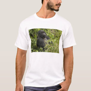 Nationaal park Volcanoes, berggorilla T-shirt
