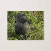 Nationaal park Volcanoes, Mountain Gorilla Legpuzzel (Horizontaal)