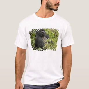 Nationaal park Volcanoes, Mountain Gorilla T-shirt