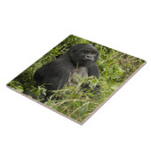 Nationaal park Volcanoes, Mountain Gorilla Tegeltje (Zijkant)