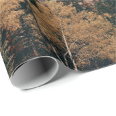 Nationaal park voor de bosbouw in het Banff Cadeaupapier (Rol Hoek)