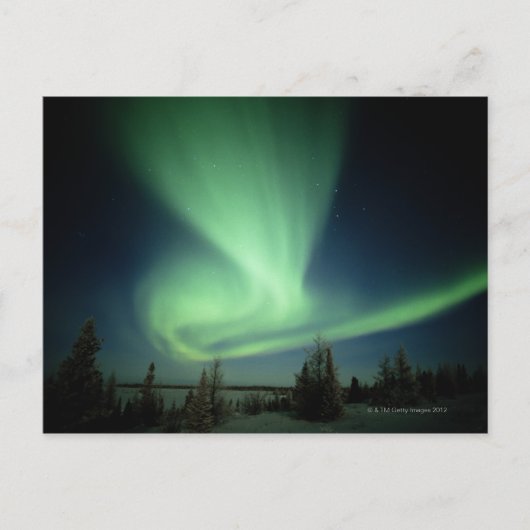Nationaal park Wapusk Briefkaart (Voorkant)