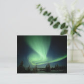 Nationaal park Wapusk Briefkaart (Staand voorkant)