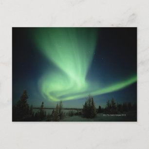 Nationaal park Wapusk Briefkaart