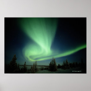 Nationaal park Wapusk Poster