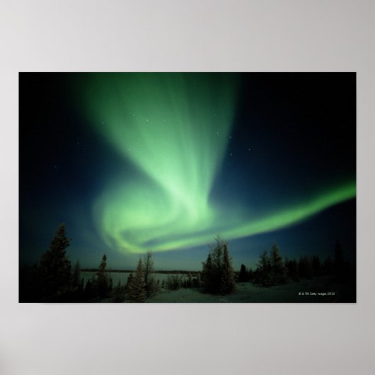 Nationaal park Wapusk Poster (Voorkant)