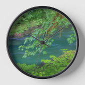 Nationaal Park Washington (Voorkant)