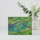 Nationaal Park Washington Briefkaart (Staand voorkant)