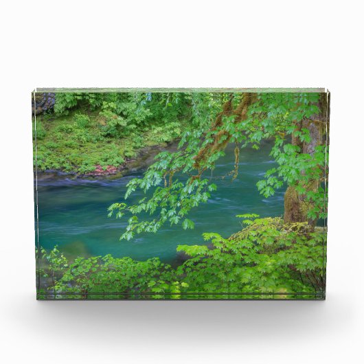 Nationaal Park Washington Fotoblokken (Voorkant)