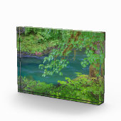 Nationaal Park Washington Fotoblokken (Rechts)