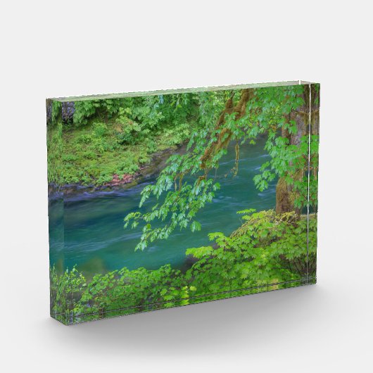 Nationaal Park Washington Fotoblokken (Links)