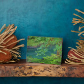 Nationaal Park Washington Fotoplaat (Zijkant)