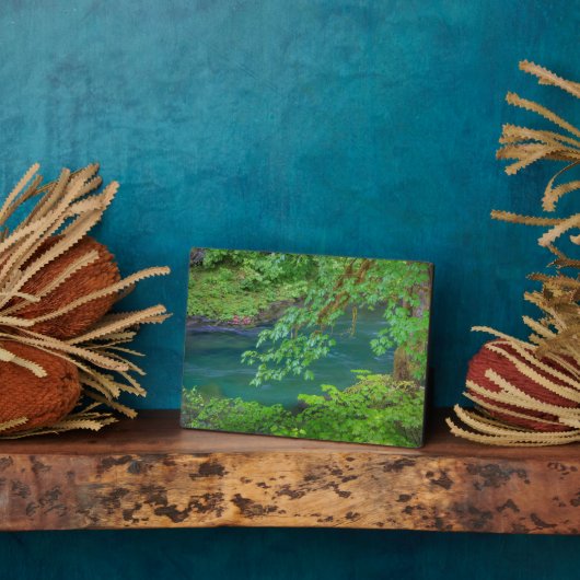 Nationaal Park Washington Fotoplaat (Zijkant)