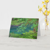 Nationaal Park Washington Kaart (Gele Bloem)