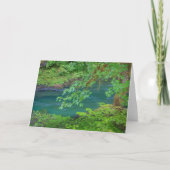 Nationaal Park Washington Kaart (Voorkant)