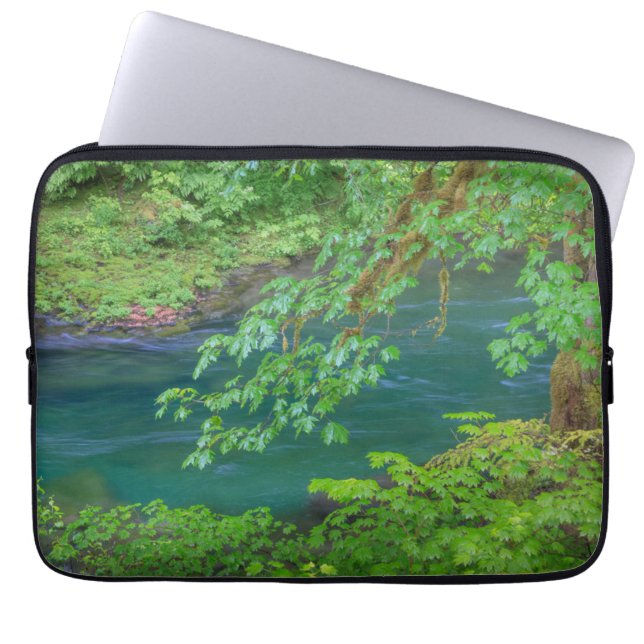 Nationaal Park Washington Laptop Sleeve (Voorkant)
