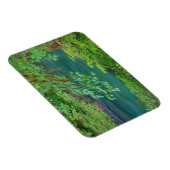 Nationaal Park Washington Magneet (Rechterzijde)