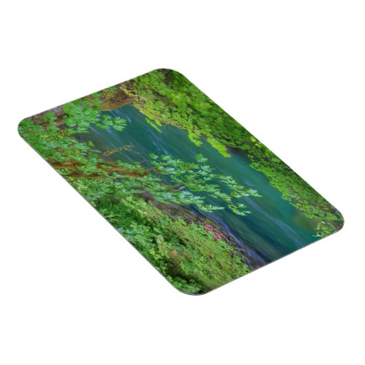 Nationaal Park Washington Magneet (Rechterzijde)