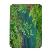 Nationaal Park Washington Magneet (Verticaal)