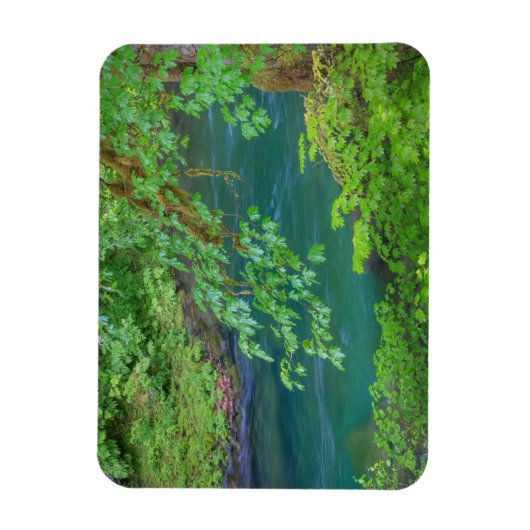 Nationaal Park Washington Magneet (Verticaal)