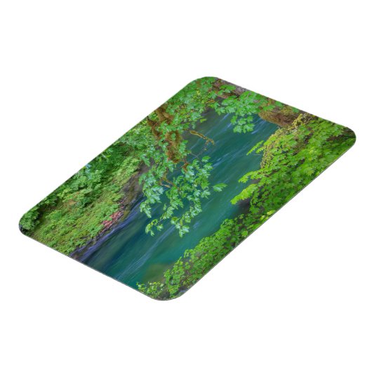 Nationaal Park Washington Magneet (Linkerzijde)