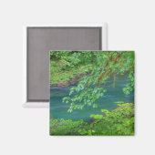 Nationaal Park Washington Magneet (Voorkant / Achterkant)