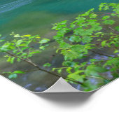 Nationaal Park Washington Poster (Hoek)