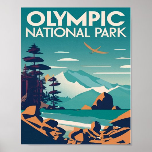 Nationaal Park Washington Rocky Beach Poster (Voorkant)