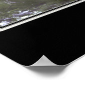 Nationaal Park Washington Satelliet Poster (Hoek)