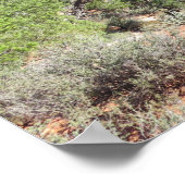 Nationaal Park Watchman Zion Poster (Hoek)