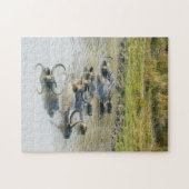 Nationaal Park Waterbuffalo Kaziranga. Legpuzzel (Horizontaal)