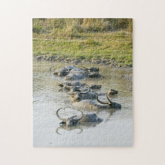 Nationaal Park Waterbuffalo Kaziranga. Legpuzzel (Verticaal)