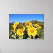 Nationaal park Waterton Lakes Wildbloemen Canvas Afdruk (Voorkant)