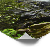 Nationaal park Waterval Great Smokey Mountain Poster (Hoek)